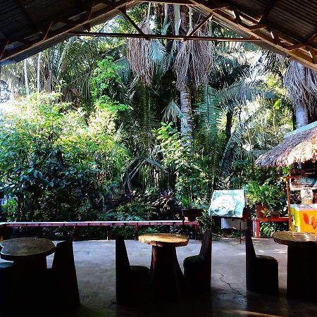 Villa Hermosa De Tambopata Casa Hospedaje & Hostel Puerto Maldonado Buitenkant foto