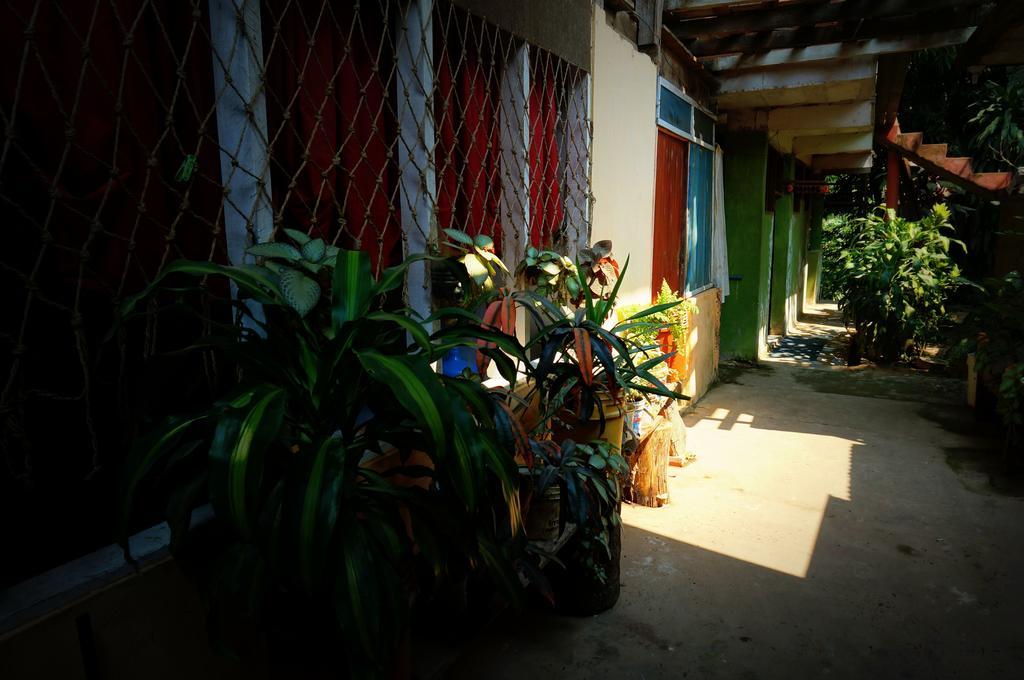 Villa Hermosa De Tambopata Casa Hospedaje & Hostel Puerto Maldonado Buitenkant foto