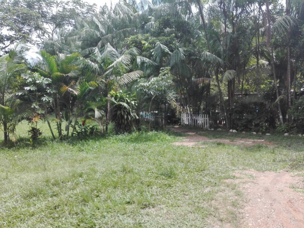 Villa Hermosa De Tambopata Casa Hospedaje & Hostel Puerto Maldonado Buitenkant foto