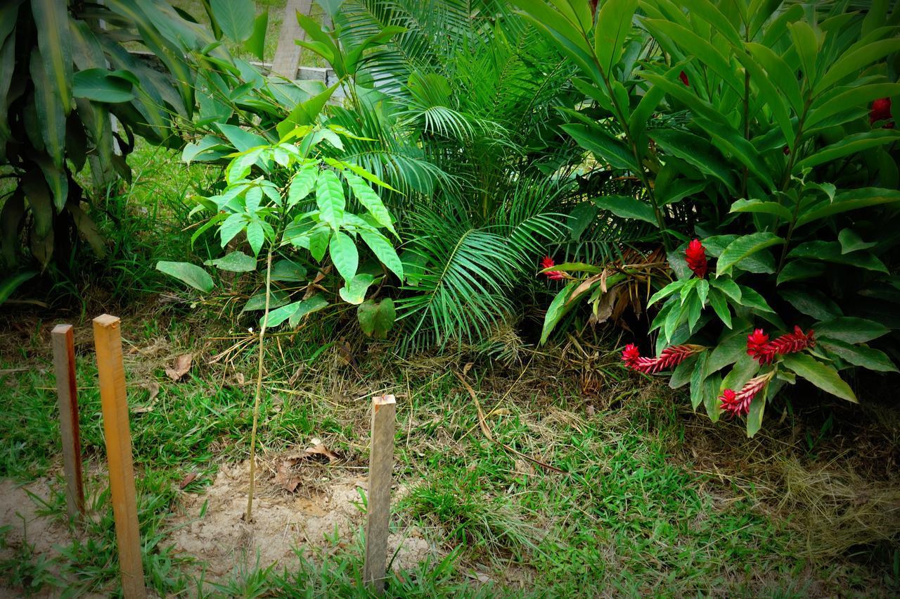 Villa Hermosa De Tambopata Casa Hospedaje & Hostel Puerto Maldonado Buitenkant foto