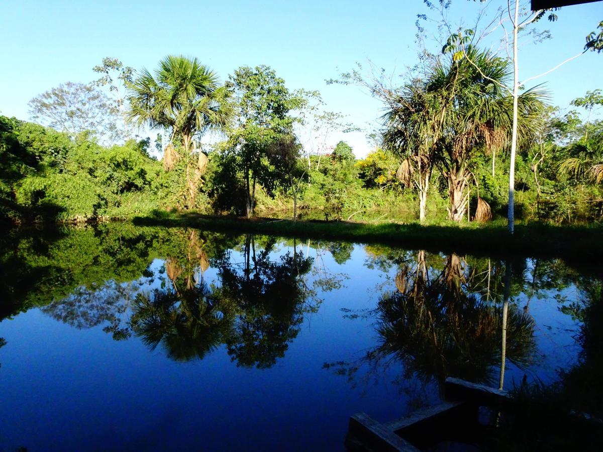 Villa Hermosa De Tambopata Casa Hospedaje & Hostel Puerto Maldonado Buitenkant foto